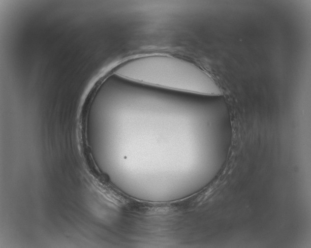 X0000063440342200601200934