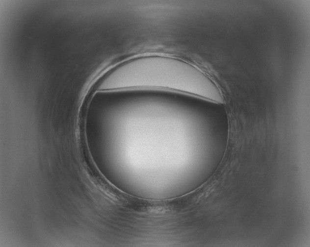 X0000063440344200601200934