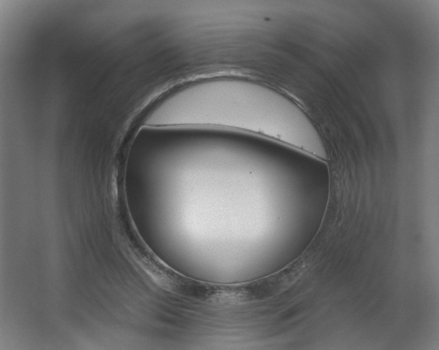 X0000063440350200601200934