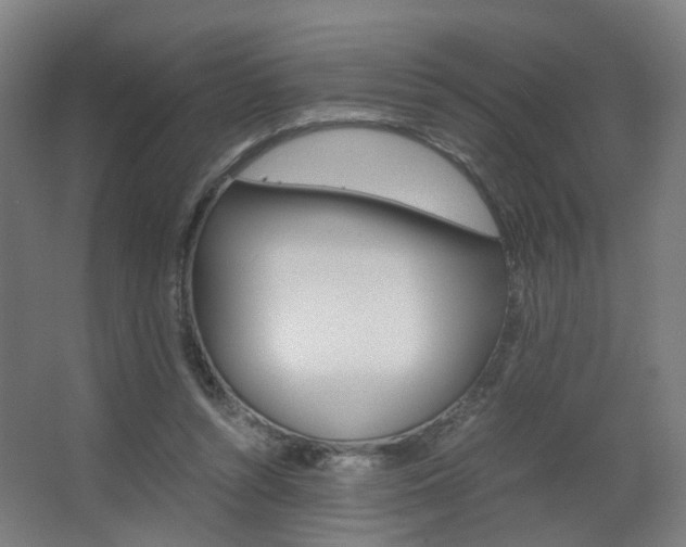 X0000063440352200601200934