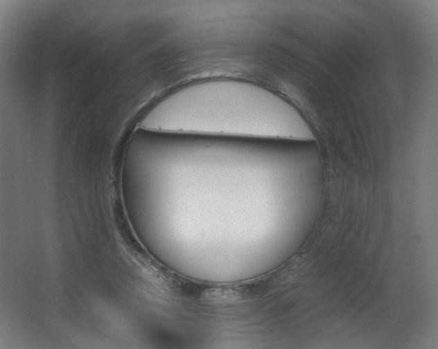 X0000063440354200601200934