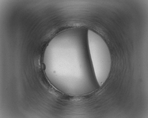 X0000063440358200601200934