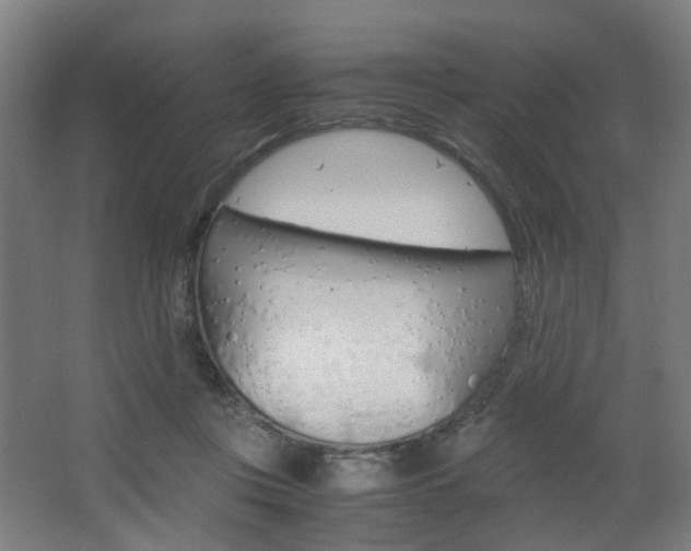 X0000063440359200601200934