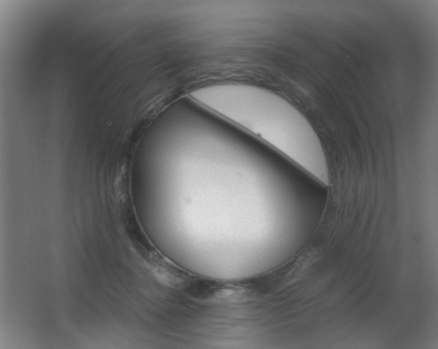 X0000063440364200601200935