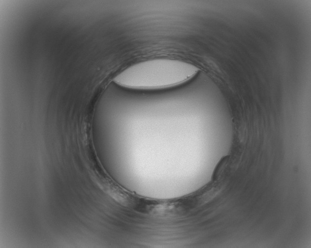 X0000063440366200601200935