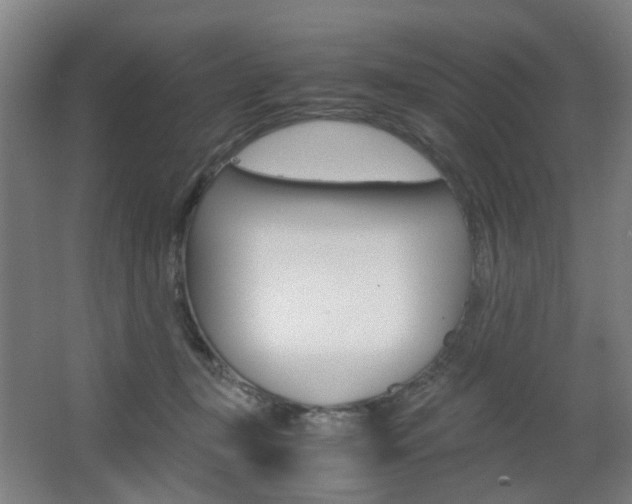 X0000063440367200601200935