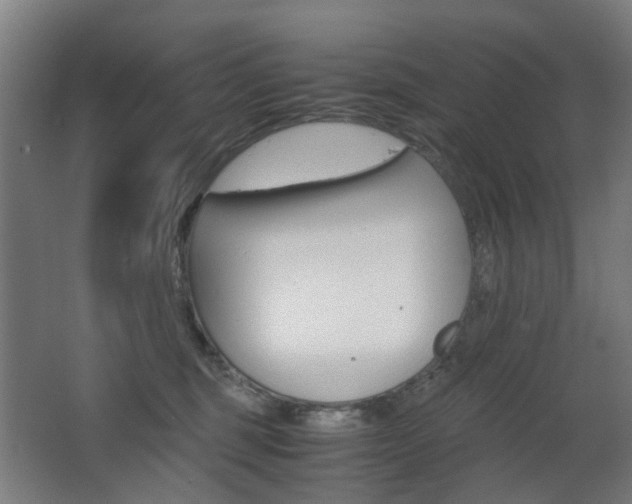X0000063440375200601200935