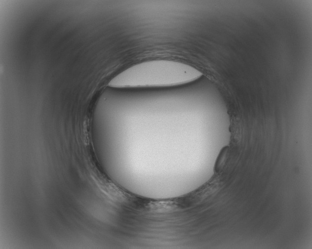 X0000063440378200601200935