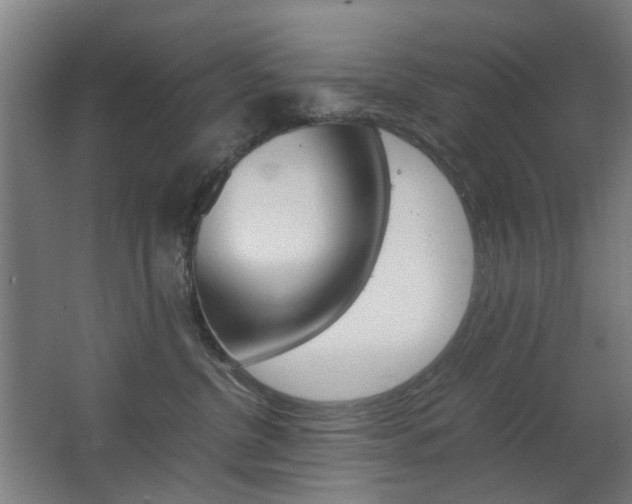 X0000063440380200601200935