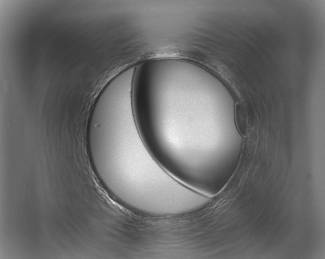 X0000063440385200601200934