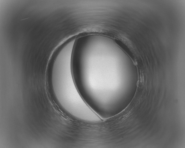 X0000063440388200601200934