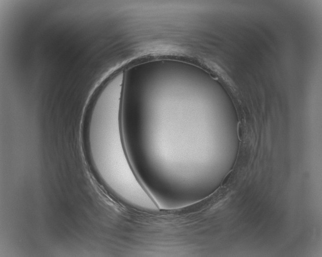 X0000063440391200601200934