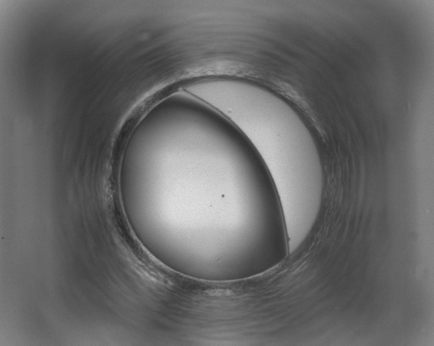 X0000063440392200601200934