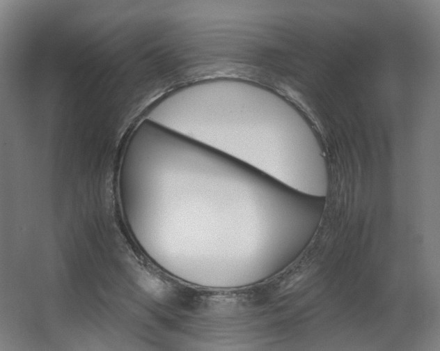 X0000063440394200601200934