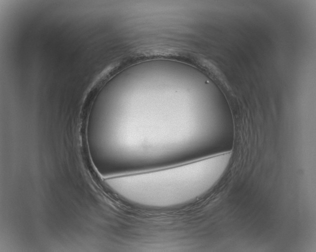 X0000063440395200601200934