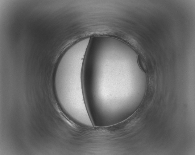 X0000063440397200601200934