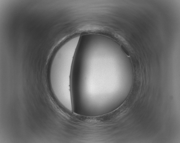 X0000063440399200601200934