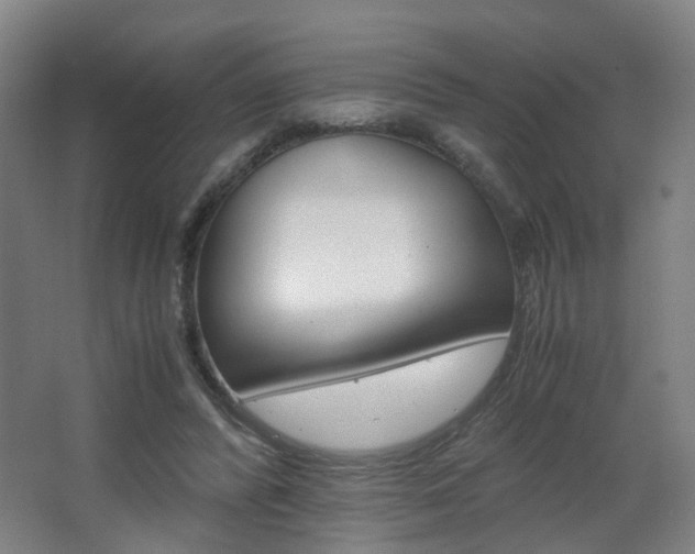 X0000063440400200601200934