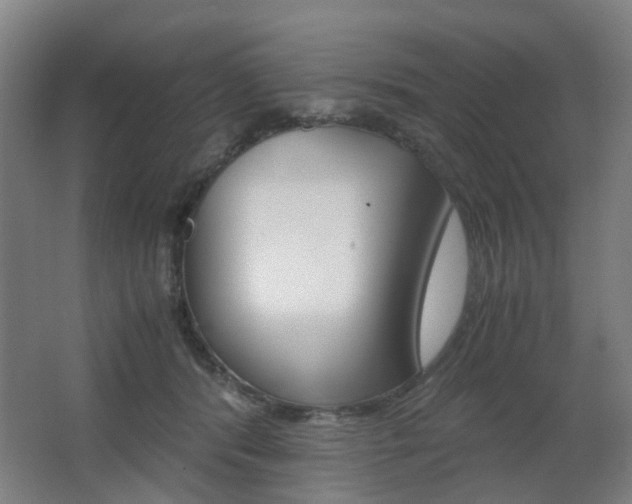 X0000063440416200601200934