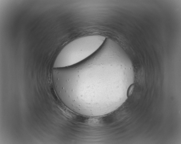 X0000063440418200601200933