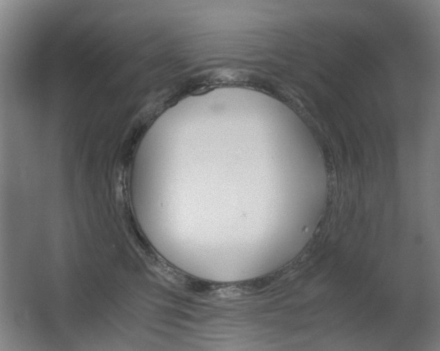 X0000063440423200601200933
