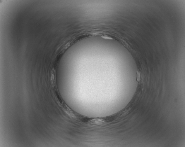 X0000063440427200601200933