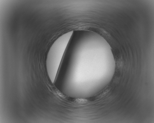 X0000063440429200601200933
