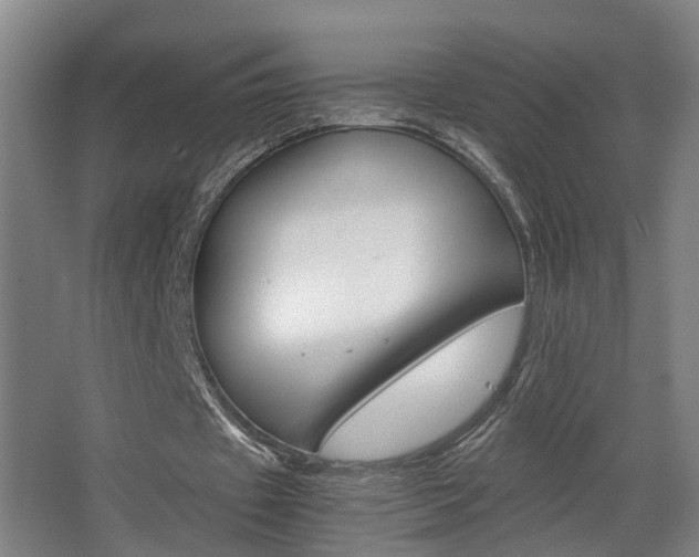 X0000063440433200601200932