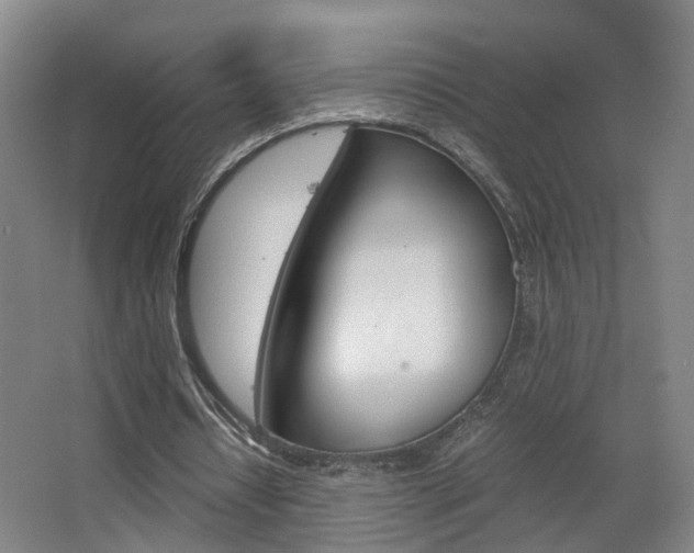 X0000063440434200601200932