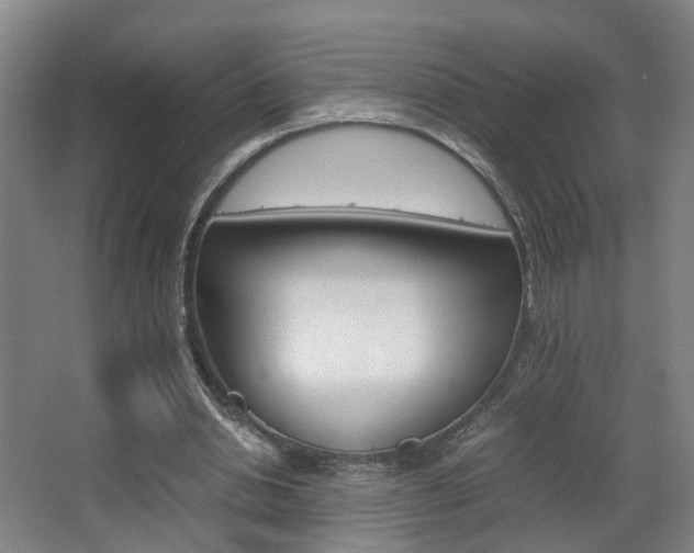 X0000063440438200601200932