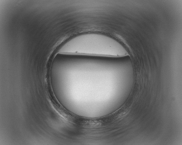 X0000063440443200601200933