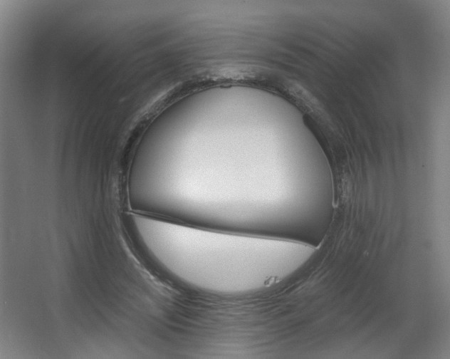 X0000063440444200601200933