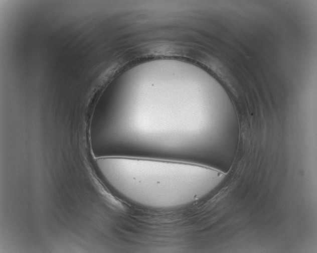 X0000063440445200601200933