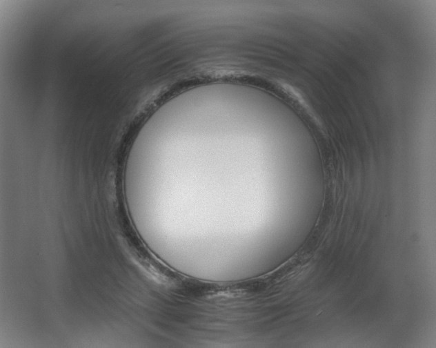 X0000063440447200601200933