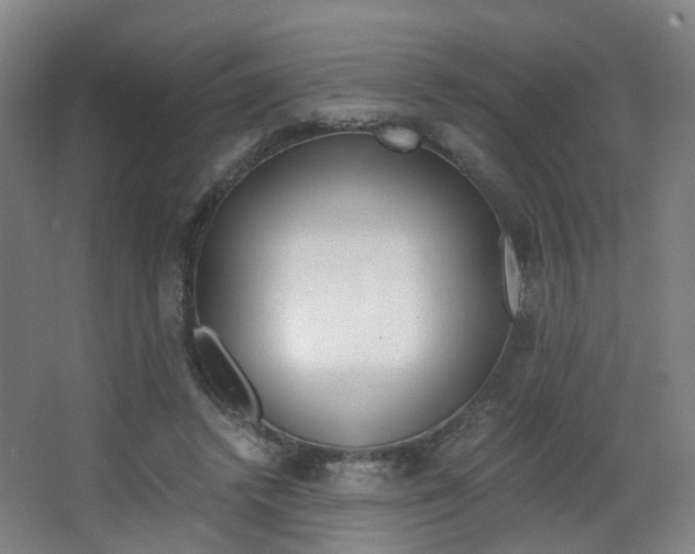 X0000063440448200601200933