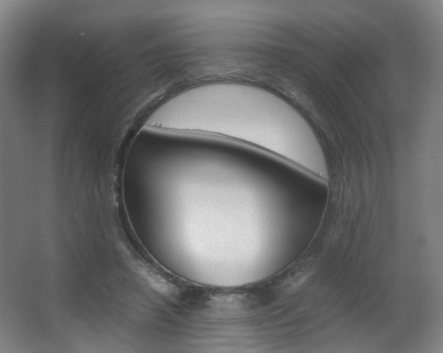 X0000063440450200601200933