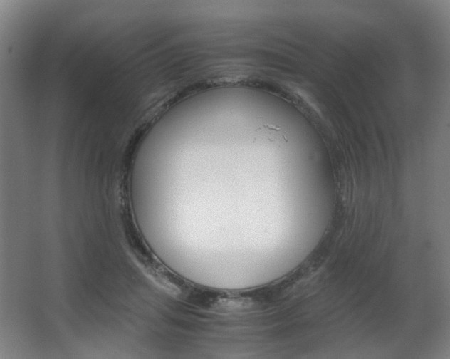 X0000063440455200601200933