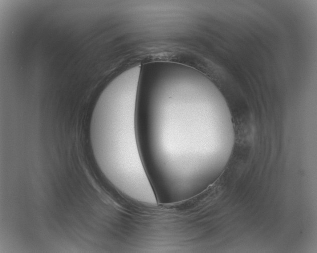 X0000063440456200601200933