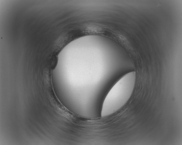 X0000063440457200601200933