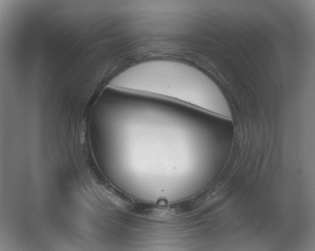 X0000063440458200601200933