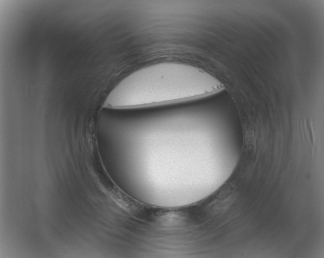 X0000063440460200601200933