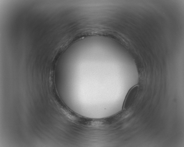 X0000063440462200601200933