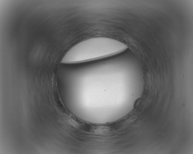 X0000063440463200601200933