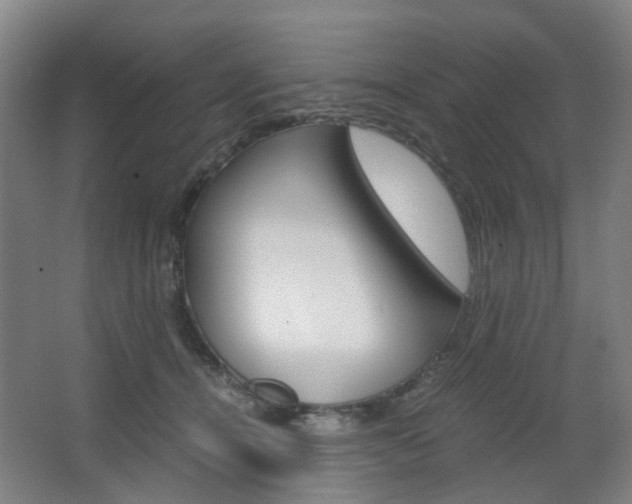 X0000063440464200601200933