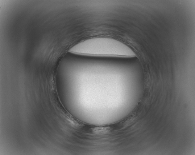 X0000063440465200601200933
