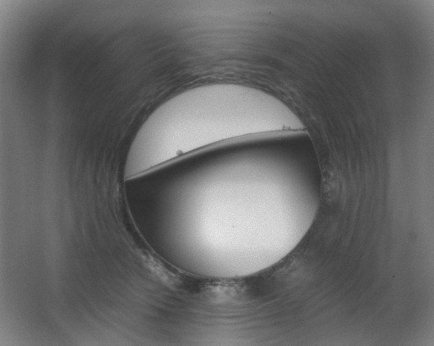 X0000063440466200601200933