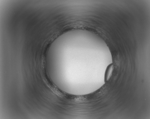 X0000063440468200601200933