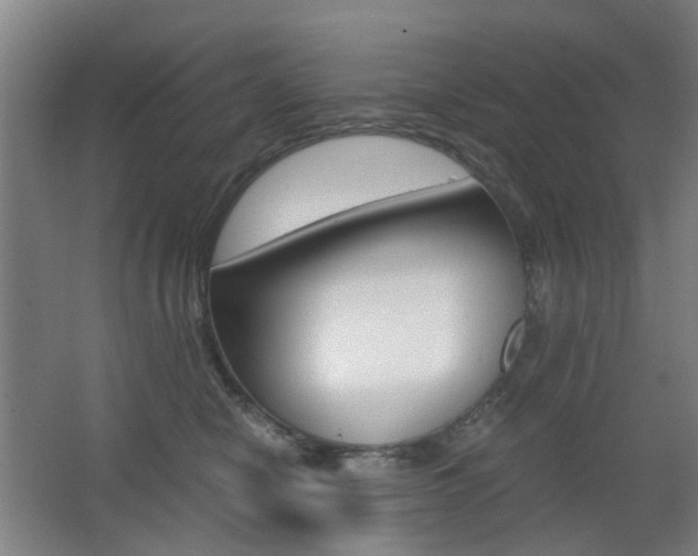 X0000063440470200601200933