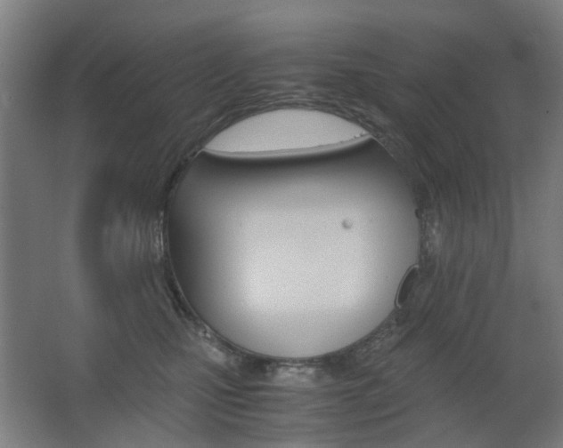 X0000063440471200601200933