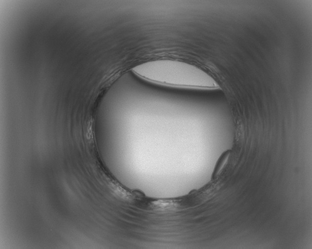 X0000063440477200601200933